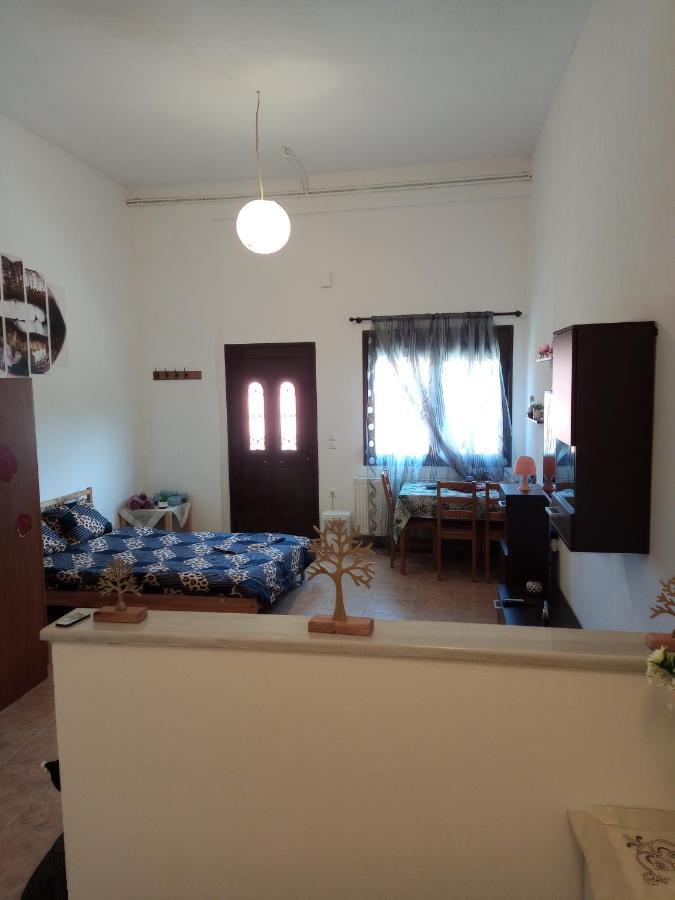 Tzoumerka Panorama Pramanta Buitenkant foto